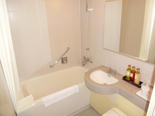 Kobe Luminous Hotel : photo 3 de la chambre chambre simple - non-fumeurs