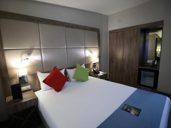 ibis Styles Istanbul Bomonti : photo 3 de la chambre chambre double Économique