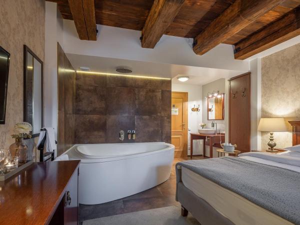 Pytloun Chateau Hotel Ctěnice : photo 4 de la chambre chambre deluxe double ou lits jumeaux