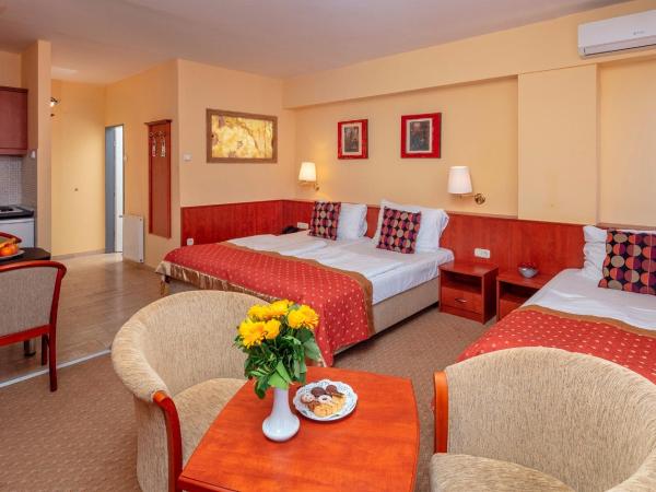 Hotel Charles : photo 9 de la chambre studio deluxe (3 adultes)