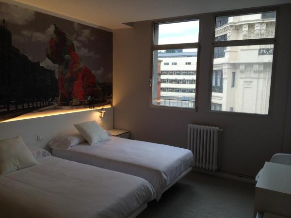 Bilbao City Rooms : photo 3 de la chambre chambre lits jumeaux deluxe