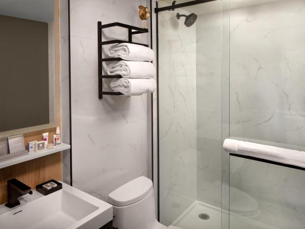 Hotel Indigo NYC Downtown - Wall Street, an IHG Hotel : photo 4 de la chambre chambre lit king-size standard