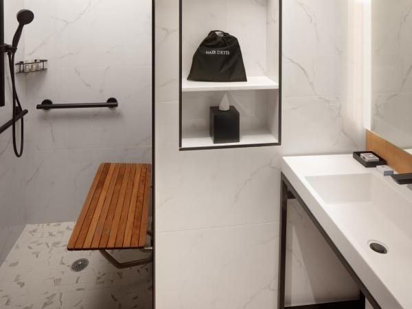 Hotel Indigo NYC Downtown - Wall Street, an IHG Hotel : photo 3 de la chambre chambre lit king-size pour personnes à mobilité réduite – douche accessible en fauteuil roulant - non-fumeurs
