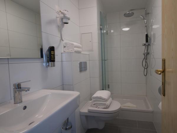 Hotel Merian : photo 3 de la chambre chambre lits jumeaux