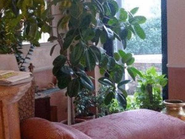 Hotel Borghetti : photo 4 de la chambre chambre simple