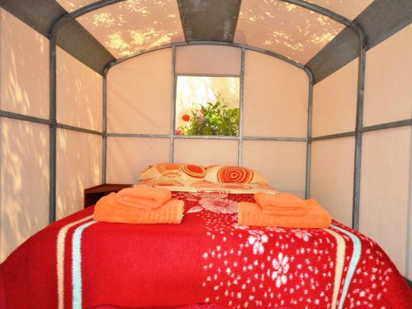 Santorini Camping & Hostel : photo 4 de la chambre tente double