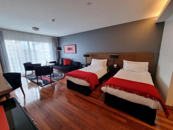 Fierro Hotel Buenos Aires : photo 10 de la chambre chambre double ou lits jumeaux supérieure