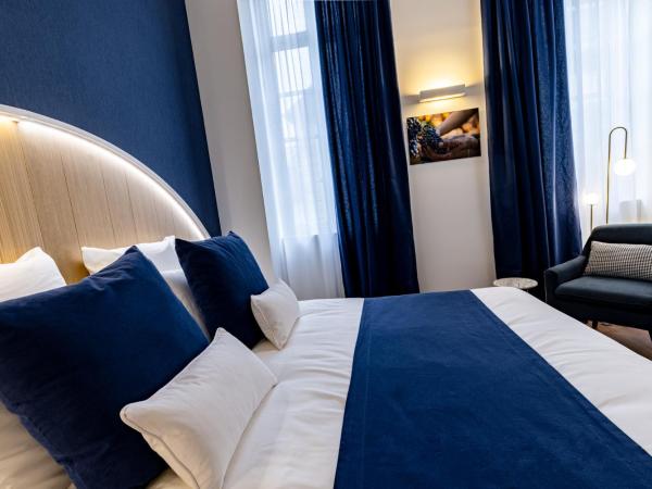 Hotel du Palais Dijon : photo 2 de la chambre pinot noir room - 1st floor