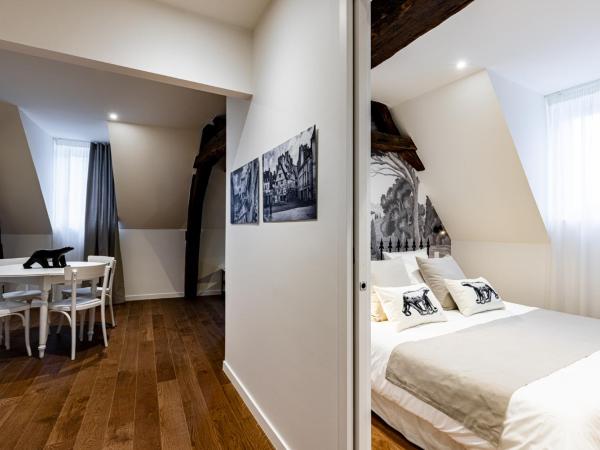 Hotel du Palais Dijon : photo 4 de la chambre ours pompon apartment - 3rd floor