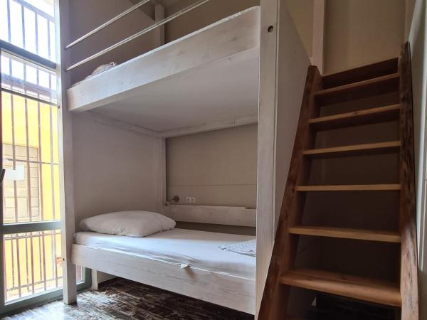 Jetpak Alternative Eco Hostel : photo 2 de la chambre lit dans dortoir de 8 lits 