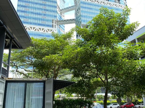 Shipping Container Hotel At One-north : photo 3 de la chambre suite avec terrasse 