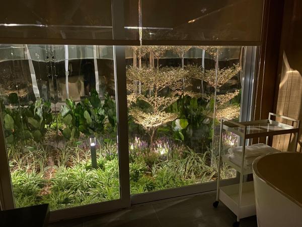 Shipping Container Hotel At One-north : photo 6 de la chambre studio avec terrasse