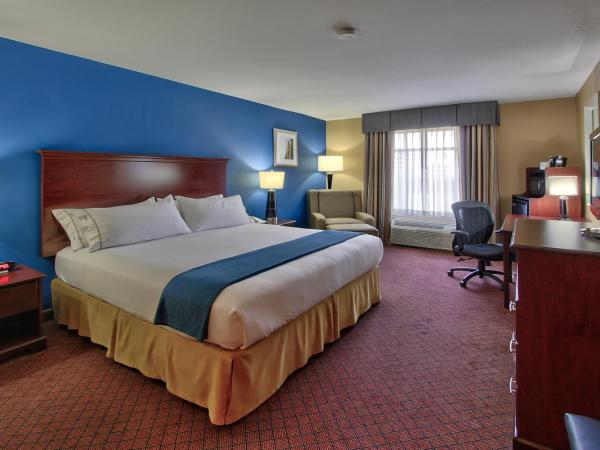 Holiday Inn Express Hotel & Suites Houston-Downtown Convention Center, an IHG Hotel : photo 3 de la chambre chambre standard
