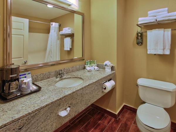 Holiday Inn Express Hotel & Suites Houston-Downtown Convention Center, an IHG Hotel : photo 5 de la chambre chambre standard