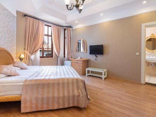 Aspen Hotel Kaleiçi : photo 9 de la chambre chambre double ou lits jumeaux deluxe – vue sur jardin