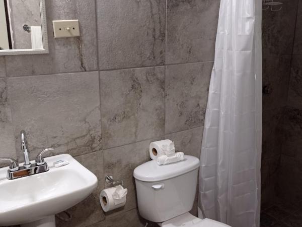 Hotel Casa Ceci Inn : photo 3 de la chambre chambre lits jumeaux standard