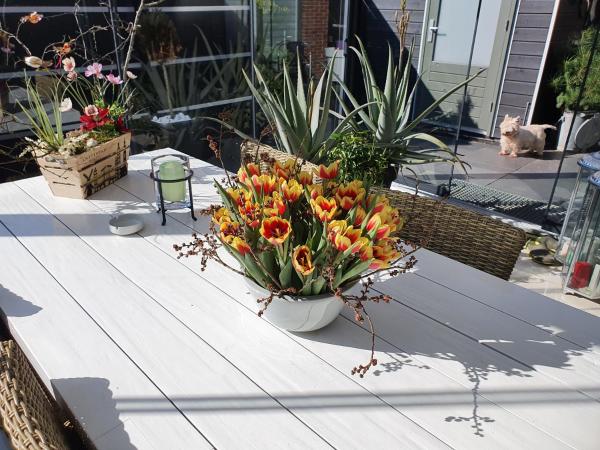 B&B Modern Times : photo 3 de la chambre chambre simple deluxe