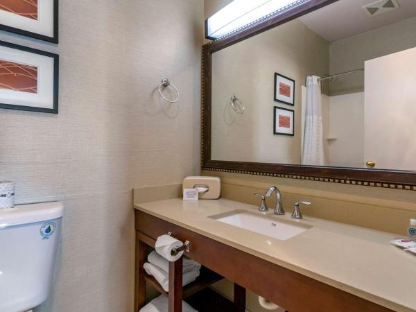 Comfort Inn & Suites Seattle North : photo 4 de la chambre chambre 2 lits queen-size - non-fumeurs