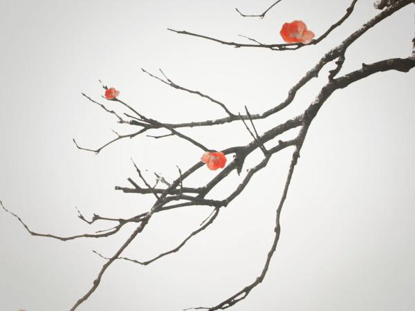 Le Petit Boutique Hotel : photo 3 de la chambre chambre double – vue sur ville