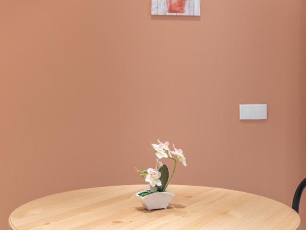 Gorgeous Apartment close to City Centre : photo 9 de la chambre studio