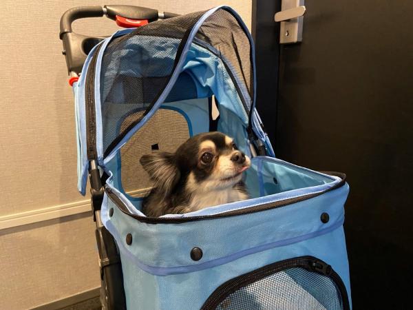 IMANO OSAKA SHINSAIBASHI HOSTEL - Vacation STAY 27589v : photo 3 de la chambre studio