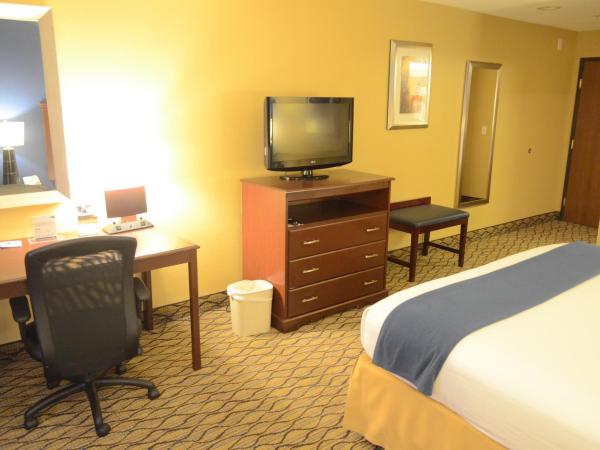 Holiday Inn Express Hotel & Suites Houston-Downtown Convention Center, an IHG Hotel : photo 10 de la chambre chambre lit king-size - accessible aux personnes à mobilité réduite