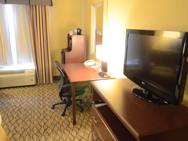 Holiday Inn Express Hotel & Suites Houston-Downtown Convention Center, an IHG Hotel : photo 4 de la chambre chambre lit king-size - accessible aux personnes à mobilité réduite