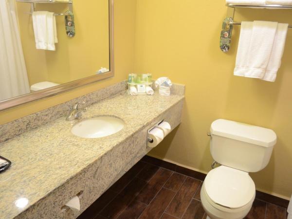 Holiday Inn Express Hotel & Suites Houston-Downtown Convention Center, an IHG Hotel : photo 3 de la chambre chambre lit king-size - accessible aux personnes à mobilité réduite