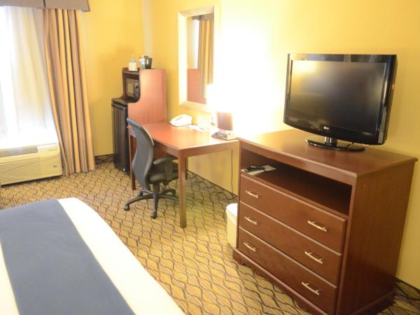 Holiday Inn Express Hotel & Suites Houston-Downtown Convention Center, an IHG Hotel : photo 5 de la chambre chambre lit king-size - baignoire accessible aux personnes à mobilité réduite