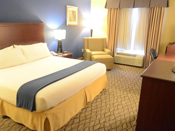 Holiday Inn Express Hotel & Suites Houston-Downtown Convention Center, an IHG Hotel : photo 8 de la chambre chambre lit king-size - baignoire accessible aux personnes à mobilité réduite