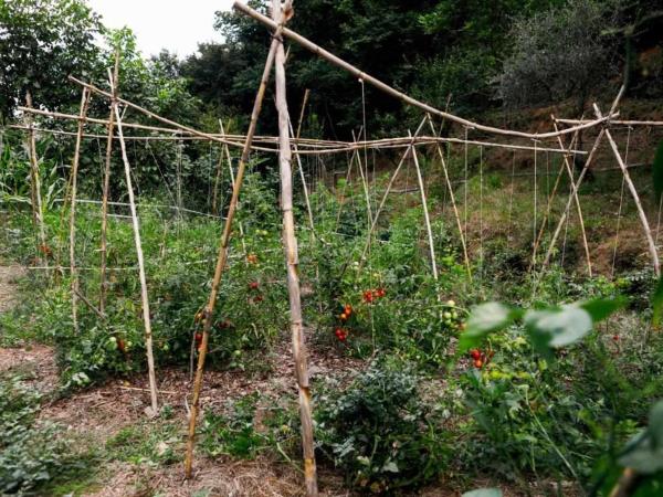 LEremoRifugio escursionistico10 min steep walk : photo 2 de la chambre chambre double avec salle de bains privative