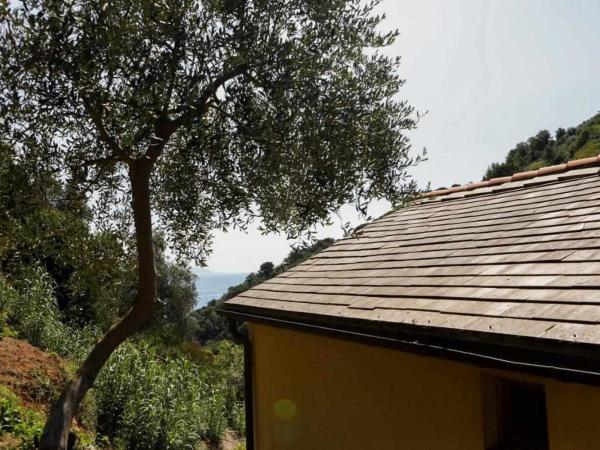 LEremoRifugio escursionistico10 min steep walk : photo 5 de la chambre chambre double avec salle de bains privative