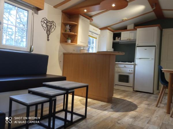 Les Chalets d'Argentouleau : photo 9 de la chambre mobile home supérieur