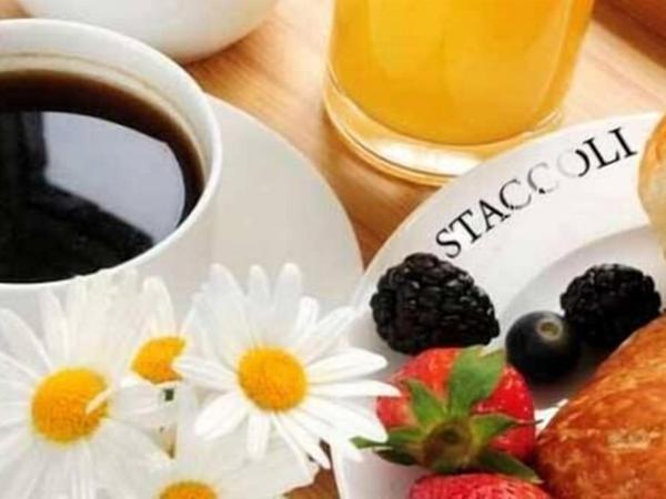 Hotel Staccoli : photo 1 de la chambre chambre simple Économique