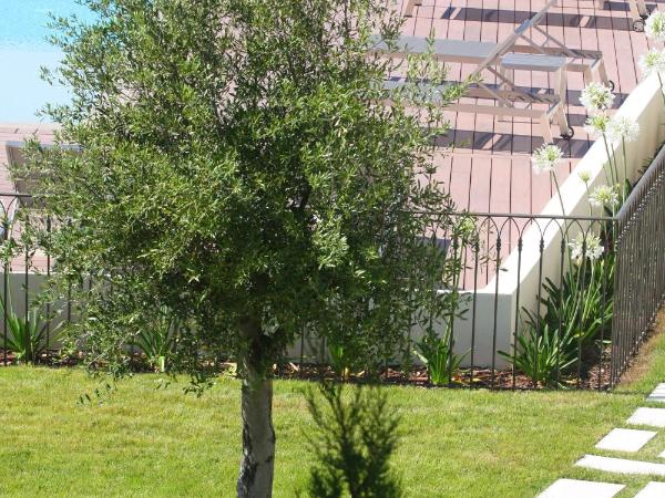 Residence Catherine : photo 6 de la chambre appartement en duplex