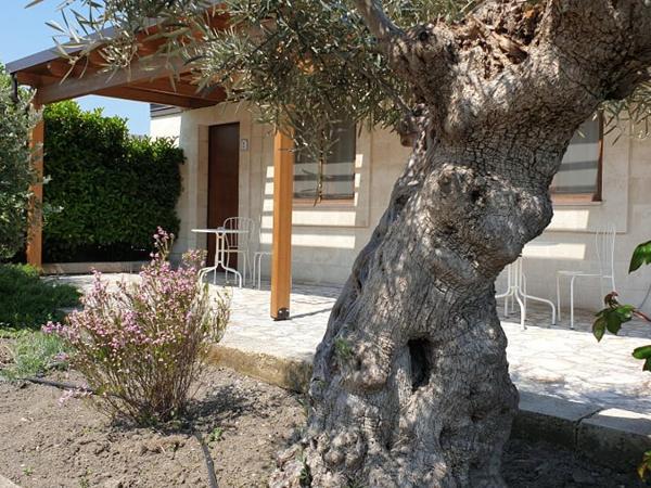 Residence Masseria Santa Lucia : photo 10 de la chambre appartement