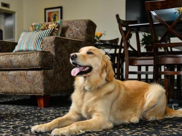 St Charles Inn, Superior Hotel : photo 1 de la chambre chambre double
