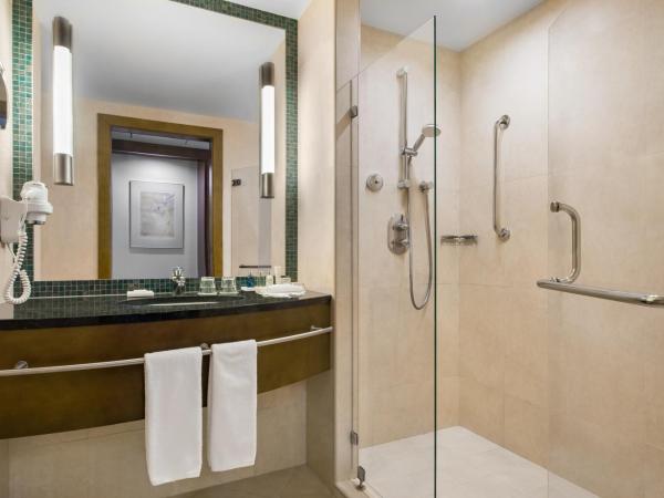 Radisson Blu Hotel Wroclaw : photo 2 de la chambre chambre standard