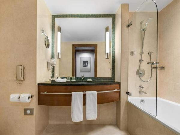 Radisson Blu Hotel Wroclaw : photo 3 de la chambre chambre premium - vue sur parc