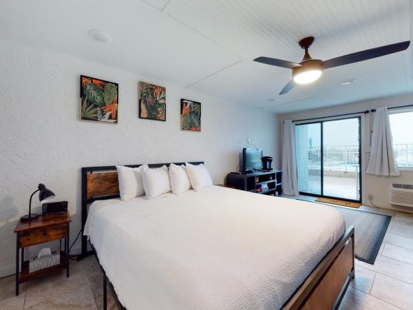 Ambassador C5 : photo 2 de la chambre studio