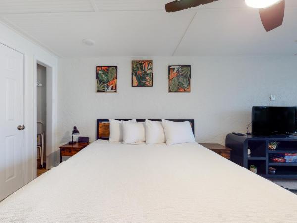 Ambassador C5 : photo 7 de la chambre studio