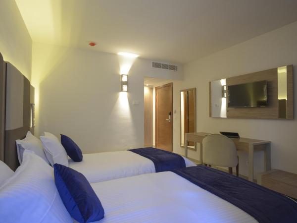 Hôtel Lescure Business and SPA : photo 1 de la chambre chambre lits jumeaux standard