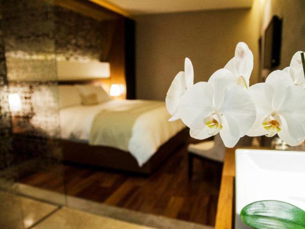 Hotel Boutique Casa Madero : photo 2 de la chambre suite