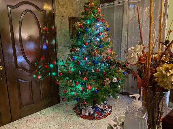 Dickinson Guest House, Guadalajara Expo : photo 3 de la chambre chambre lit king-size deluxe