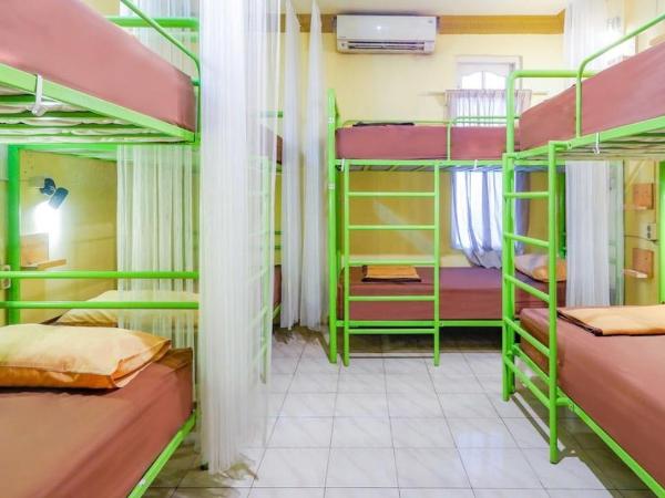 Bunk Bed and Breakfast : photo 1 de la chambre lit simple dans dortoir pour femmes