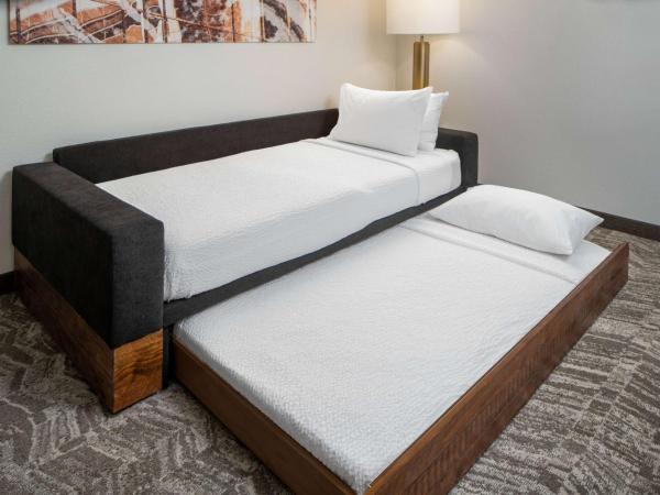 Sonesta Select Nashville Airport Suites : photo 4 de la chambre suite lit king-size avec baignoire accessible aux personnes à mobilité réduite