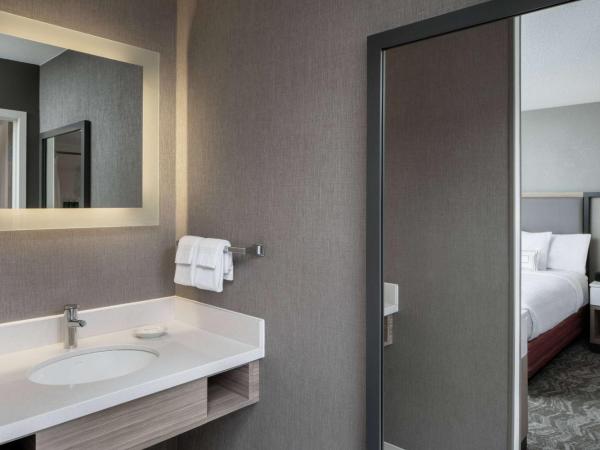 Sonesta Select Nashville Airport Suites : photo 4 de la chambre suite lit king-size