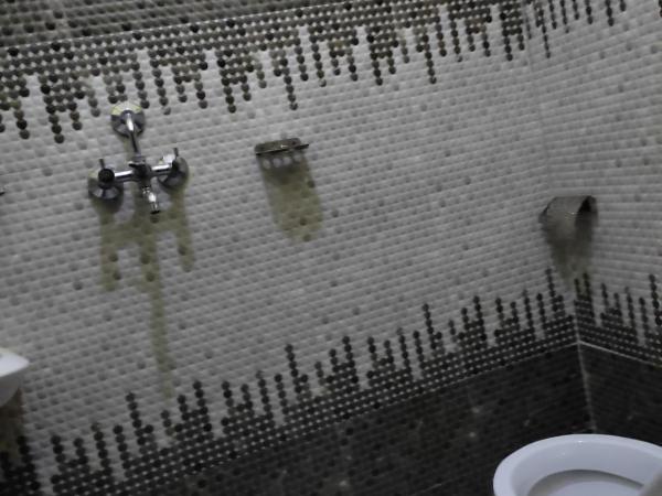 Hotel Green Hill View : photo 4 de la chambre chambre lits jumeaux supérieure