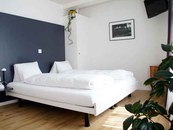 Hotel Vadian Garni : photo 6 de la chambre chambre double ou lits jumeaux standard