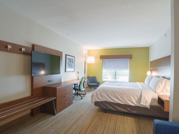 Holiday Inn Express Hotel & Suites Tampa-USF-Busch Gardens, an IHG Hotel : photo 1 de la chambre suite lit king-size